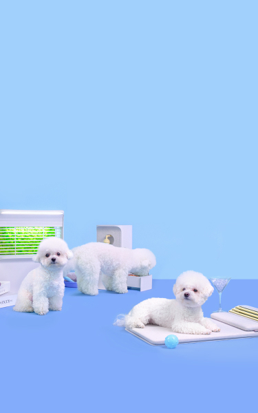 project thumbnail